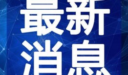 网友爆料买菜视频大全最新,菜市场新鲜热辣买菜瞬间，生活百态尽收眼底