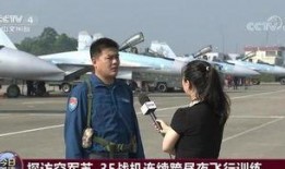 武汉飞行员爆料视频曝光,揭秘飞行安全疑云