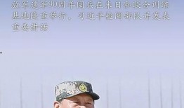 被爆料的军人是谁呀视频,被爆料的神秘军人身份曝光