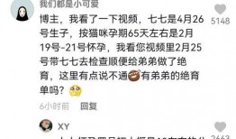 娱乐吃瓜博主起名大全,跟随吃瓜博主，畅游八卦海洋