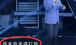王自健爆料辣条视频播放,王自健揭秘视频播放背后的真相