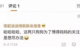 娱乐吃瓜博主起名大全,跟随吃瓜博主，畅游八卦海洋