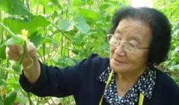 娱乐吃瓜酱广东人辣度,辣度惊人，吃瓜成风