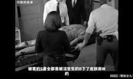 沉默的羔羊在线观看完整版,心理战与罪恶的较量