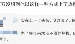 台湾黄安爆料张子怡视频,真相与争议
