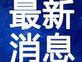 武汉胖子爆料视频大全最新,揭秘城市生活百态