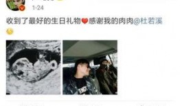 老杨最新爆料视频大全下载,视频大全下载背后的真相大起底